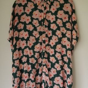 SOLD.       EUC Acacia mahalo mombasa